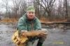 brown trout.jpg