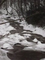 savage%20river%202010%20feb%20002[2].JPG