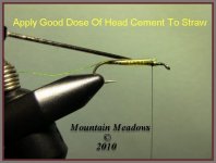 docs1e.jpg