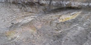 20100220_Melded3_800.jpg