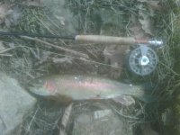 3-3 rainbow.jpg