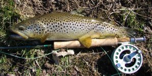 3-6-10 Spring Creek - Copy.JPG
