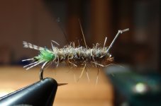 Case%20Caddis.JPG