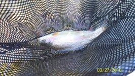 march 27, big spring. SZ18 scud resized.jpg