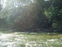 PIC_0096.JPG
