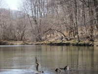 Apr2LH-FlyFisherJ.jpg