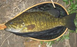 Smallie6Ap.jpg