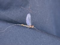 DSC_4189.jpg