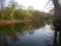 IMGP0054.jpg