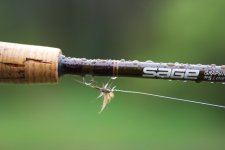 DSC_4660.jpg