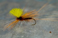 March_Brown_No10_w.jpg