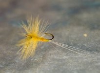 Sulphur_Dun_No16_w.jpg