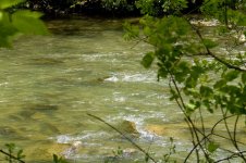 Penns_Creek_May_8th_1w.jpg