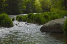Penns_Creek_May_8th_3w.jpg