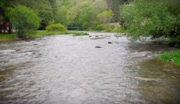Water Conditions.JPG