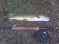 Valley Brown 2.jpg