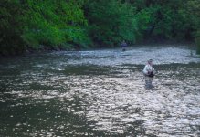 creekS.jpg