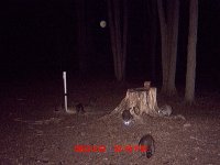 MDGC0008.JPG