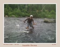 AusableBrownWeb.jpg