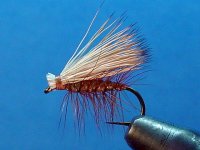 Elk Hair Caddis.JPG