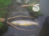 20brown[1].2.jpg