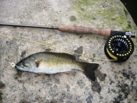 Smallmouth.jpg