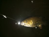 Dark Smallie.jpg