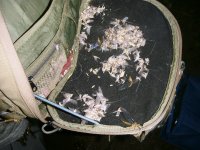 Bruno Bag.jpg