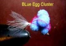 blue eggs.jpg