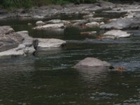 PA050017.JPG