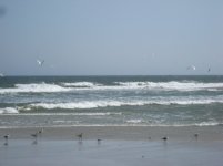 Diving Birds.jpg