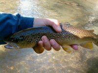 !cid__Photo0722.jpg