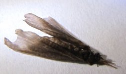 IMG_0073.JPG