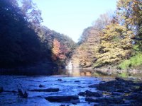 Fall Colors.jpg