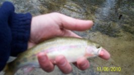 Big Spring Creek 11-6-2010 2ndresized.jpg