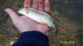 Big Spring Creek 11-6-2010resized.jpg