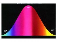 Bell curve.jpg