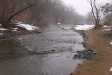 Fog on Big Spring.JPG