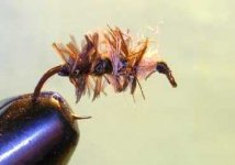 cased caddis.JPG