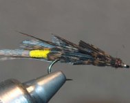 stick caddis.jpg