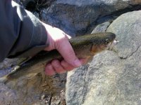 IMG00071-20110227-0950.jpg