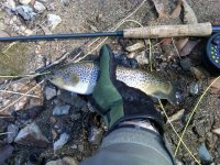 IMG00076-20110227-1052.jpg
