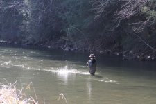 Fish on Muddy Creek.JPG