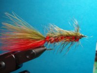 Brook Trout Bugger.JPG