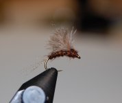 Dark Sulphur Emerger.JPG