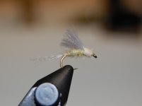 Light Supphur Emerger.JPG