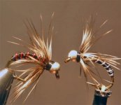 zebra_midge_softhackle .jpg