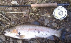 Deer Creek 1.jpg