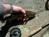 IMG00123-20110417-1337.jpg