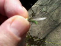 IMG00126-20110417-1429.jpg
